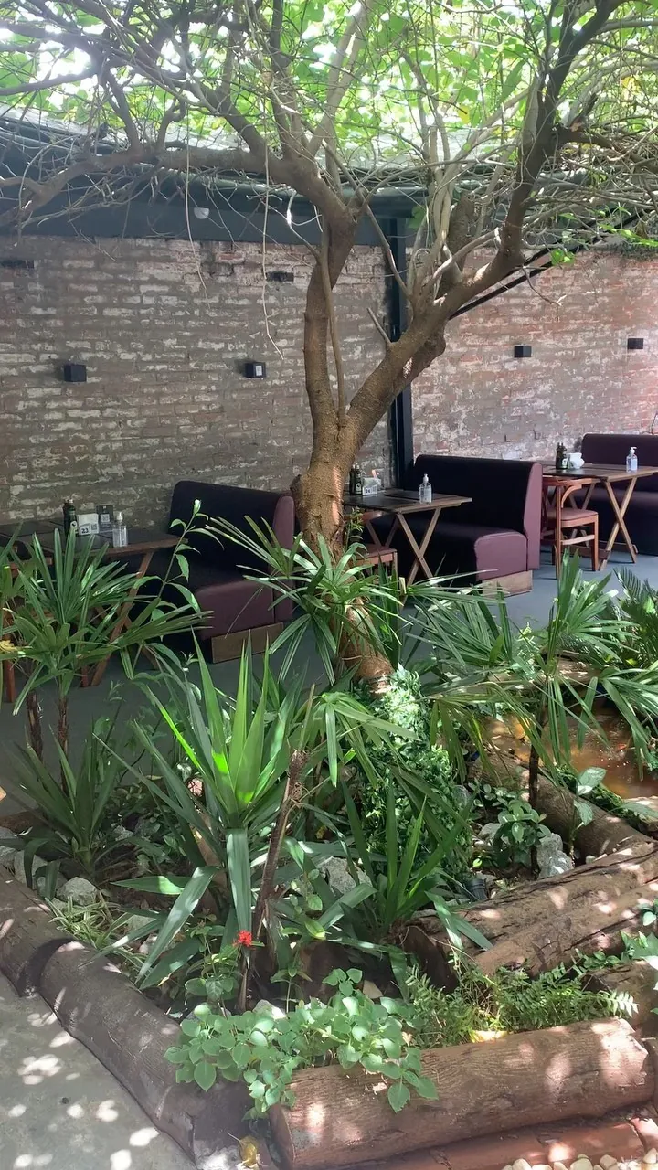 Jardim do quintal com folhagens e muro de tijolos